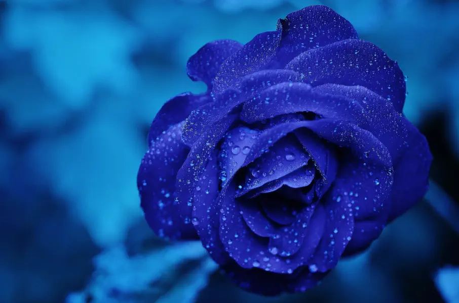 What you need to know about the Gilded Rose interview problem