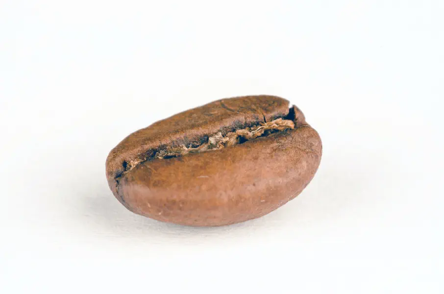 Creating a Java Bean from a Scala Class