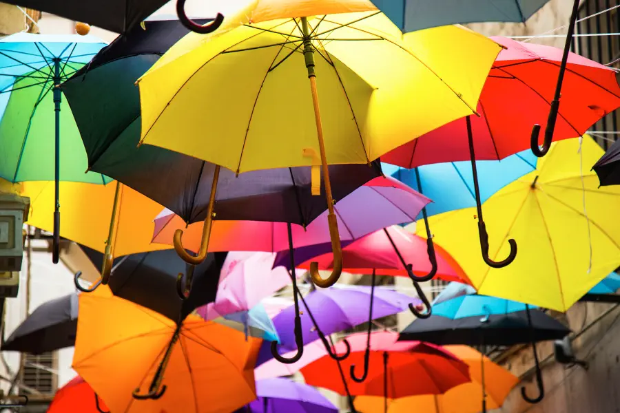 My Project Umbrella